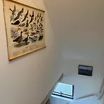 Appartement De Tuinkamer Ouddorp